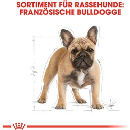 Royal Canin Pasja hrana French Bulldog Adult - 1,5 kg