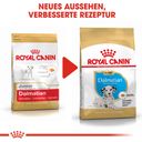 Royal Canin Pasja hrana Dalmatian Puppy - 12 kg