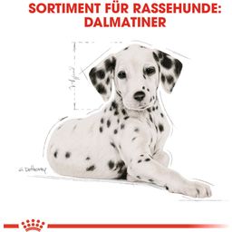 Royal Canin Pasja hrana Dalmatian Puppy - 12 kg