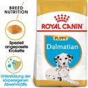 Royal Canin Pasja hrana Dalmatian Puppy