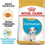 Royal Canin Dalmatian Puppy