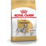 ROYAL CANIN Dalmata Adult