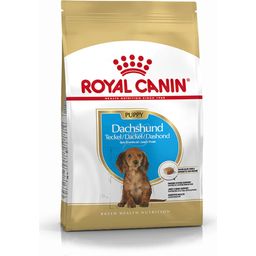 Royal Canin Pasja hrana Dachshund Puppy - 1,50 kg