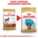 Royal Canin Pasja hrana Dachshund Puppy - 1,50 kg