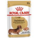 Royal Canin Dachshund Adult Mousse 12x85 g - 1.020 g