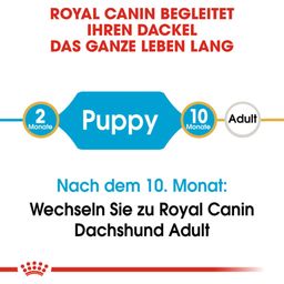 Royal Canin Dachshund Puppy - 1,50 kg