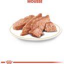 Royal Canin Dachshund Adult Mousse 12x85 g - 1.020 g