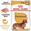 Royal Canin Dachshund Adult Mousse 12x85 g