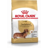 ROYAL CANIN Bassotto Tedesco Adult