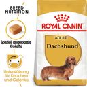 ROYAL CANIN Bassotto Tedesco Adult - 1,5 kg