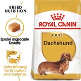 Royal Canin Pasja hrana Dachshund Adult