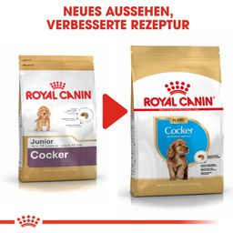 Royal Canin Pasja hrana Cocker Puppy - 3 kg