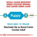Royal Canin Pasja hrana Cocker Puppy - 3 kg