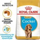 Royal Canin Cocker Puppy - 3 kg