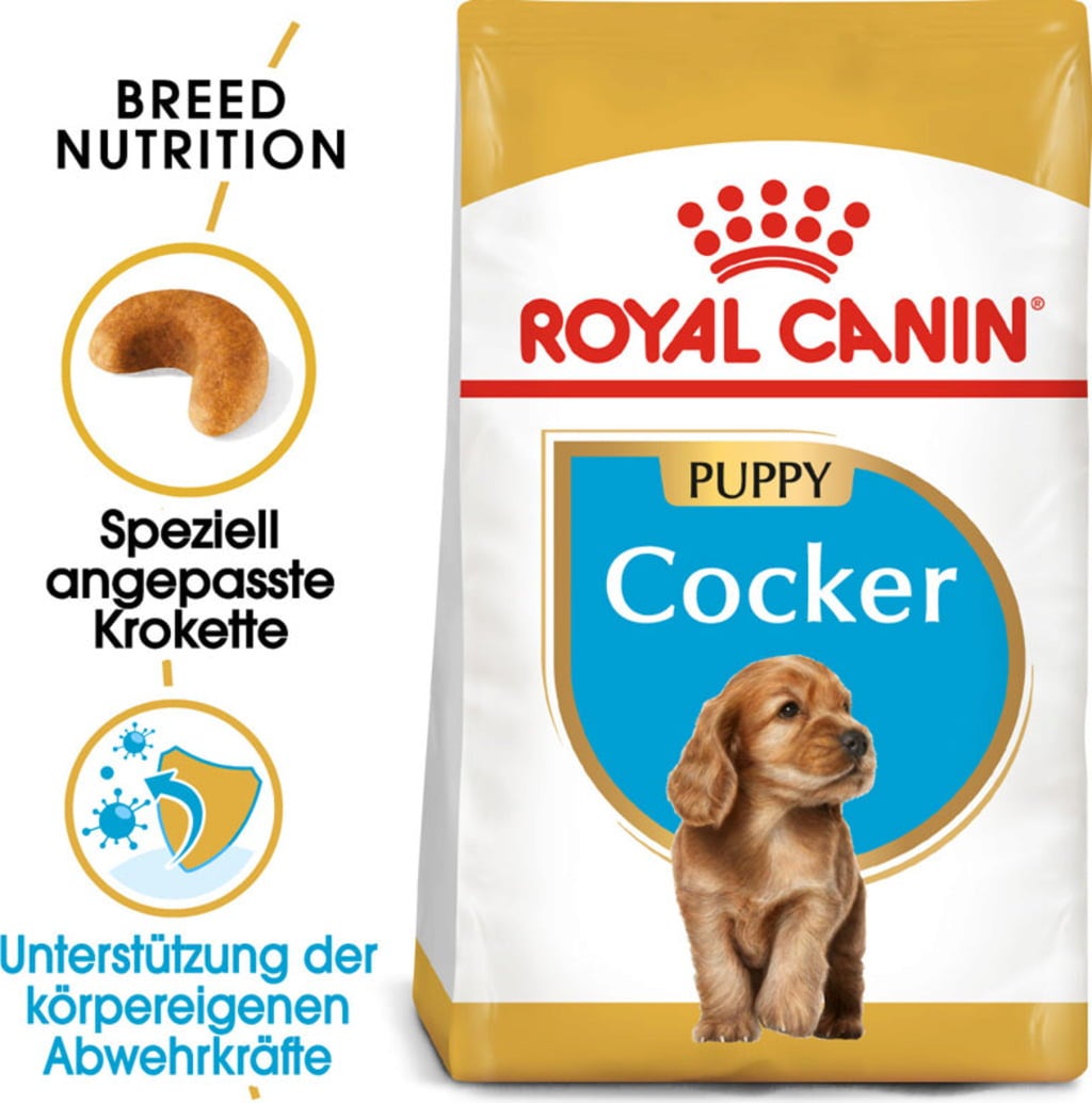 Cocker Puppy, 3 kg