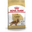 Royal Canin Cocker Adult - 3 kg
