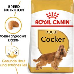 Royal Canin Pasja hrana Cocker Adult - 3 kg