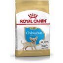 Royal Canin Chihuahua Puppy - 500 g