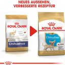 Royal Canin Chihuahua Adult Mousse 12x85 g - 1.020 g