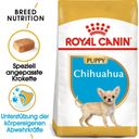 Pasja hrana Chihuahua Adult Mousse, 12 x 85 g