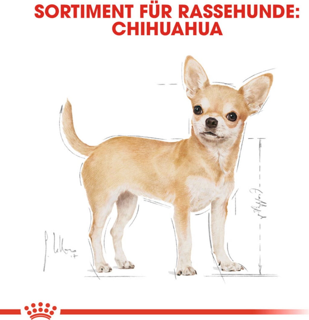 Royal Canin Chihuahua Adult - 3 kg