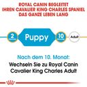 Royal Canin Cavalier King Charles Puppy - 1,50 kg