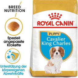 Royal Canin Pasja hrana Cavalier King Charles Puppy - 1,50 kg