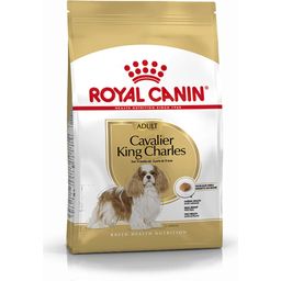 Royal Canin Pasja hrana Cavalier King Charles Adult - 1,5 kg