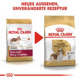 Royal Canin Pasja hrana Cavalier King Charles Adult - 1,5 kg