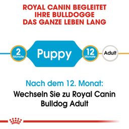 ROYAL CANIN Bulldog Puppy - 3 kg
