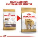 Royal Canin Bulldog Adult - 3 kg