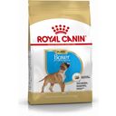 Royal Canin Pasja hrana Boxer Puppy - 12 kg