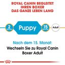 Royal Canin Boxer Puppy - 12 kg