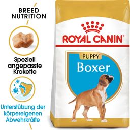 Royal Canin Pasja hrana Boxer Puppy - 12 kg