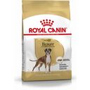 Royal Canin Pasja hrana Boxer Adult - 12 kg