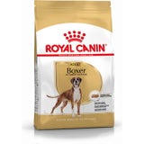 ROYAL CANIN Boxer Adult
