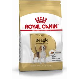 Royal Canin Pasja hrana Beagle Adult - 12 kg