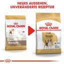 Royal Canin Beagle Adult - 12 kg