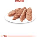 Royal Canin Mačja hrana Sterilised Mousse, 12 x 85 g - 1.020 g