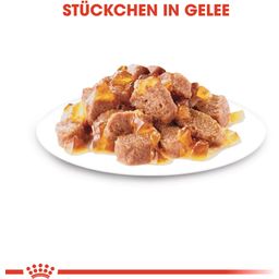 Royal Canin Sterilised in Gelee 12x85 g - 1.020 g