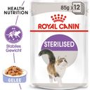 Royal Canin Sterilised in Gelee 12x85 g - 1.020 g