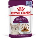 Royal Canin Sensory Feel in Gelee 12x85g - 1.020 g