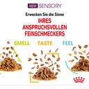 Mačja hrana Sensory Multipack v omaki, 12 x 85 g - 1.020 g