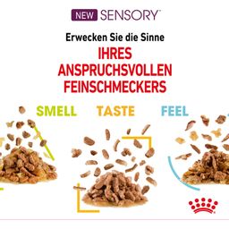 Royal Canin Sensory Multipack in Soße 12x85g - 1.020 g