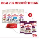 Royal Canin Sensory Multipack in Soße 12x85g - 1.020 g