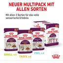 Royal Canin Sensory Multipack in Soße 12x85g - 1.020 g