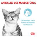 Royal Canin Sensory Multipack in Soße 12x85g - 1.020 g