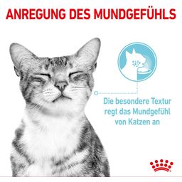 Royal Canin Sensory Multipack in Soße 12x85g - 1.020 g