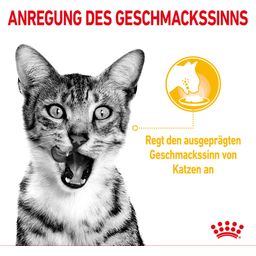 Royal Canin Sensory Multipack in Soße 12x85g - 1.020 g