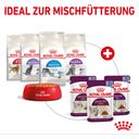 Royal Canin Sensory Feel in Gelee 12x85g - 1.020 g